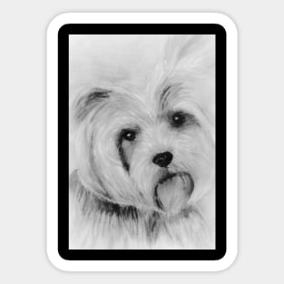 Yorkie Sticker